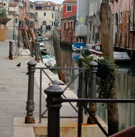 Casa Di Primavera Venezia Eksteriør bilde